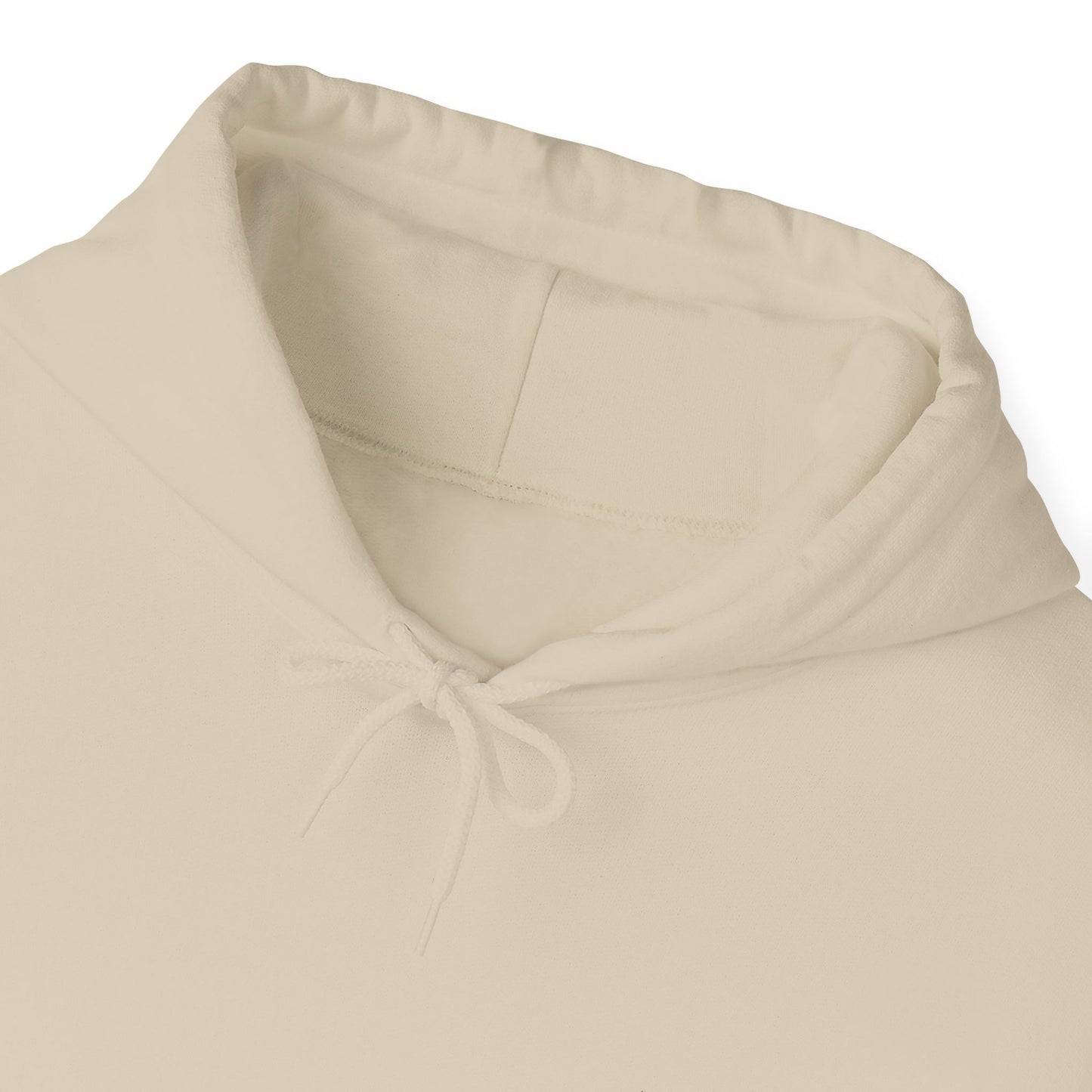 "Celebrate Recovery: Hoodie — Inspirational Recovery Pullover