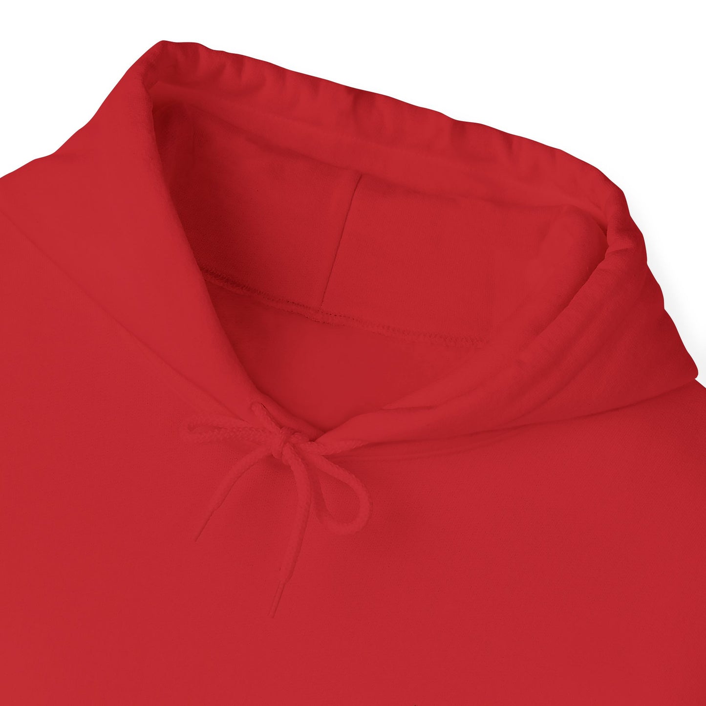 "Celebrate Recovery: Hoodie — Inspirational Recovery Pullover